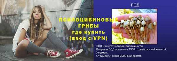 стаф Ладушкин