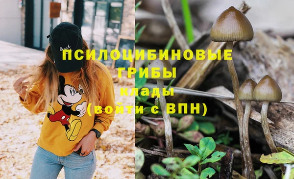 марки lsd Лагань