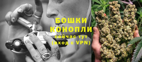 шишки Михайловск