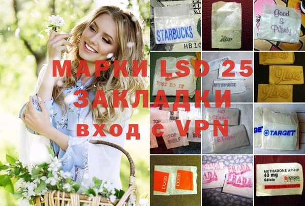 стаф Ладушкин