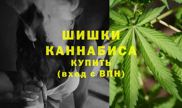 стаф Ладушкин